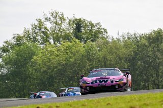 #14 - Emil Frey Racing - Matteo CAIROLI/Konsta LAPPALAINEN - Ferrari 296 GT3 EVO