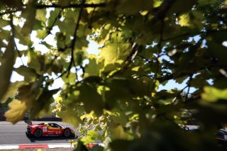 #50 - AF Corse - Arthur LECLERC/Thomas NEUBAUER - Ferrari 296 GT3 EVO