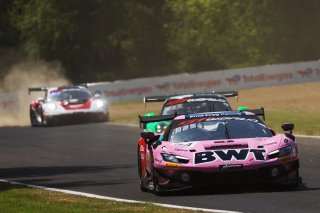 #14 - Emil Frey Racing - Matteo CAIROLI/Konsta LAPPALAINEN - Ferrari 296 GT3 EVO