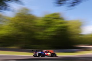 #69 - Emil Frey Racing - Thierry VERMEULEN/Ben GREEN - Ferrari 296 GT3 EVO