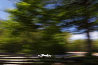 #80 - Lionspeed GP - Bastian BUUS/Ricardo FELLER - Porsche 911 GT3 R EVO
