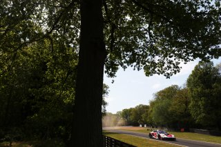#914 - Razoon - more than racing - Simon BIRCH/Magnus GUSTAVEN - Porsche 911 GT3 R EVO
