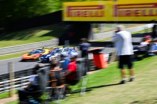 GT World Challenge Fans at Brands Hatch