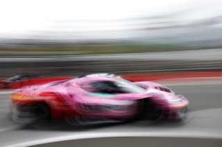 #14 - Emil Frey Racing - Matteo CAIROLI/Konsta LAPPALAINEN - Ferrari 296 GT3 EVO