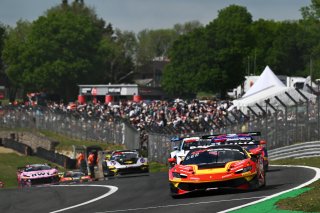 #50 - AF Corse - Arthur LECLERC/Thomas NEUBAUER - Ferrari 296 GT3 EVO