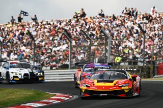#50 - AF Corse - Arthur LECLERC/Thomas NEUBAUER - Ferrari 296 GT3 EVO