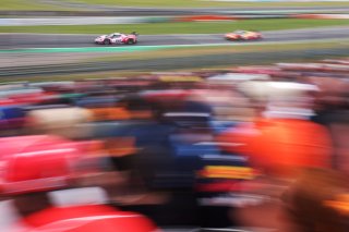 #14 - Emil Frey Racing - Matteo CAIROLI/Konsta LAPPALAINEN - Ferrari 296 GT3 EVO