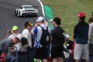 #80 - Lionspeed GP - Bastian BUUS/Ricardo FELLER - Porsche 911 GT3 R EVO