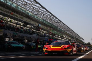 #50 - AF Corse - Lilou WADOUX - Arthur LECLERC - Sean GELAEL - Ferrari 296 GT3 EVO