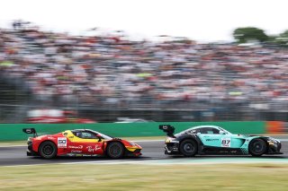#50 - AF Corse - Lilou WADOUX - Arthur LECLERC - Sean GELAEL - Ferrari 296 GT3 EVO