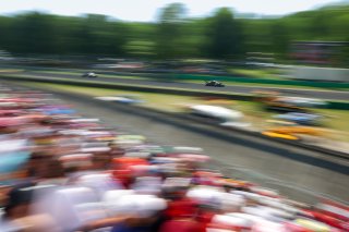 #99 - Tresor Attempto Racing - Dylan PEREIRA - Andrea FRASSINETI - Lorenzo Ferrari - Audi R8 LMS GT3 EVO II