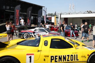 Fans in the Monza Paddock