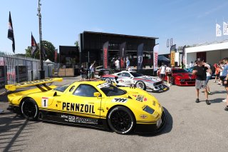 Fans in the paddock