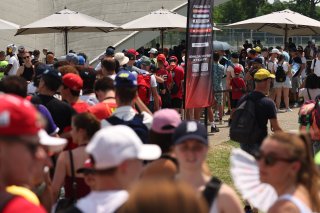 Monza Fanzone