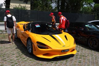 Monza Fanzone