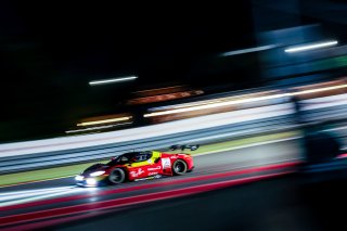 #50 - AF Corse - Lilou WADOUX - Arthur LECLERC - Sean GELAEL - Ferrari 296 GT3 EVO | SRO / JEP