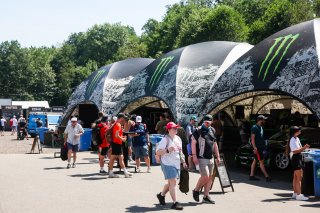 Monster Tyres
