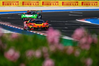 #50 - AF Corse - Arthur LECLERC - Thomas NEUBAUER - Ferrari 296 GT3 EVO