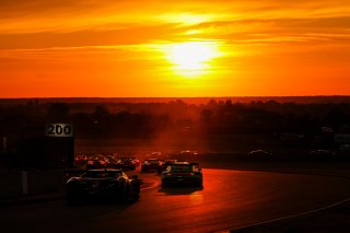 #55 - Dinamic GT - Dmitry GVAZAVA - Loris CABIROU - Porsche 911 GT3 R (992) EVO