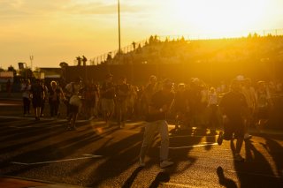 Fans on the Grid Walk