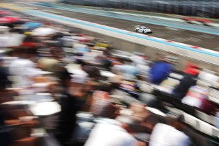 #80 - Lionspeed GP - Bastian BUUS - Ricardo FELLER - Porsche 911 GT3 R (992) EVO