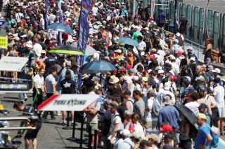 Fans on the Magny-Cours Pit Walk