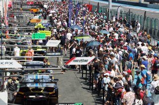 Fans on the Magny-Cours Pit Walk