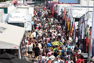 Fans in the paddock