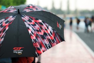 Fans on the pit walk