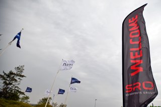 Welcome flags