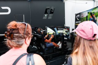 E-Motion Sims