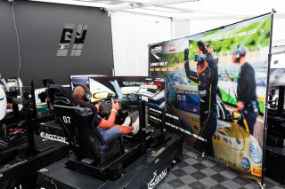 E-Motion Sims