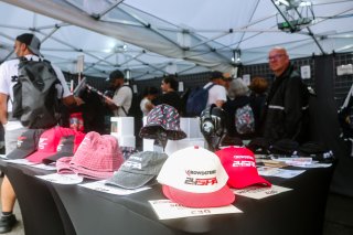 Fans at Magny-Cours