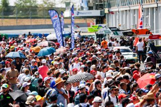 Fans on the Magny-Cours Pit Walk