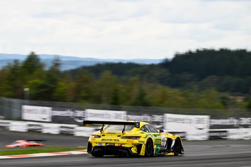 #48 - Mercedes - AMG Team MANN-FILTER - Lucas Auer - Luca Stolz - Maro Engel - Mercedes-AMG GT3 EVO | SRO / JEP