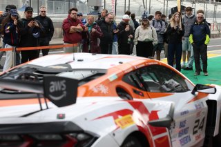Fans on the Pitwalk