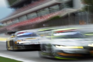 #66 - Tresor Attempto Racing - Andrea Frassineti - Ariel Levi - Audi R8 LMS GT3 EVO II