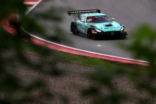 #87 - Winward Racing - Marvin Dienst - Rinat Salikhov - Mercedes-AMG GT3 EVO