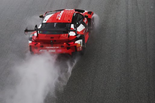 #991 - Paradine Competition - Augusto Farfus - Darren Leung - BMW M4 GT3 EVO | SRO / JEP