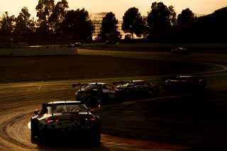 #31 - Team WRT - Amaury Cordeel - Jordan Pepper - BMW M4 GT3 EVO