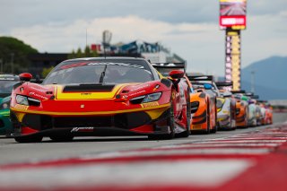 #50 - AF Corse - Thomas Neubauer - Arthur Leclerc - Ferrari 296 GT3 EVO