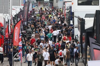 Fans in the paddock