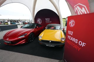 MG cars