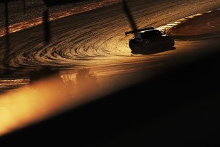 #41 - Razoon - more than racing - Marcos Gomes - Alan Hellmeister - Sebastiao Malucelli - Porsche 911 GT3 R (992) EVO