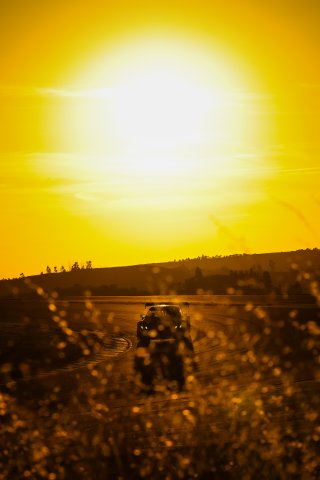 #77 - KPX Motorsport - Jop Rappange - Nigel Schoonderwoerd - Yelmer Buurman - BMW M4 GT3 EVO