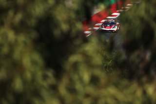 #41 - Razoon - more than racing - Marcos Gomes - Alan Hellmeister - Sebastiao Malucelli - Porsche 911 GT3 R (992) EVO