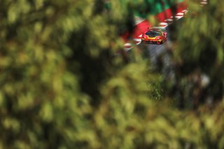 #50 - AF Corse - Lilou Wadoux - Arthur Leclerc - Albert Costa - Ferrari 296 GT3 EVO