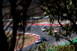 #88 - Tresor Attempto Racing - Daniele Di Amato - Carrie Schreiner - Gerhard Tweraser - Audi R8 LMS GT3 EVO II