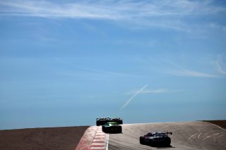 Action in the test session