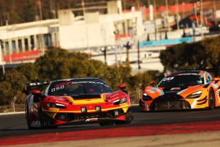 #50 - AF Corse - Lilou Wadoux - Arthur Leclerc - Albert Costa - Ferrari 296 GT3 EVO